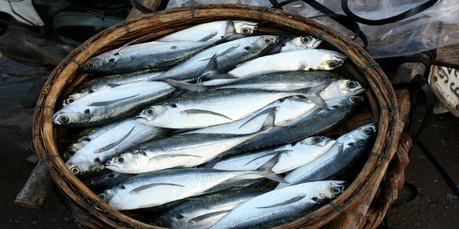 Resultado de imagen de fishing industry
