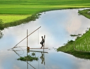 Bangladesh_Fishing_2006