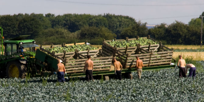 migrant farmworkers
