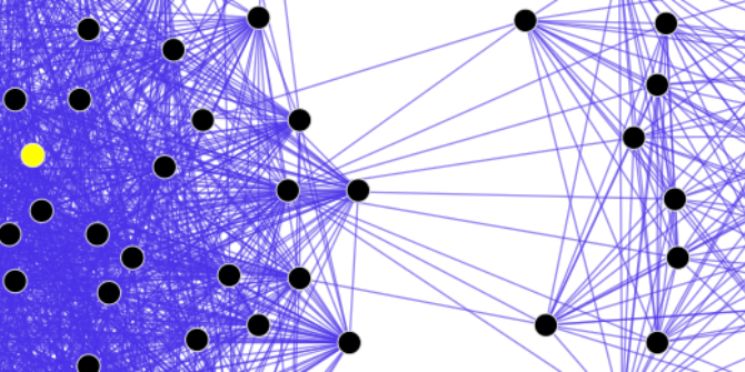 Social_Network_Diagram_(segment).svg