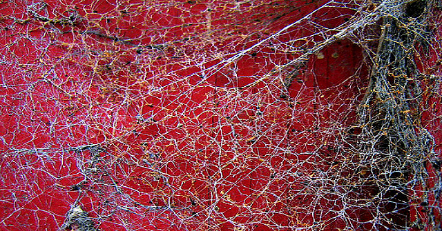 tangled-weave