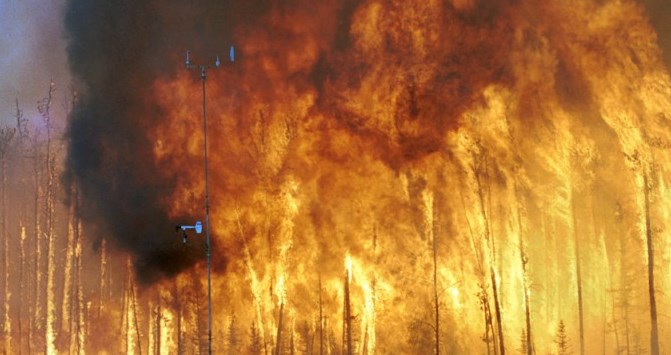 Forest Fire (Courtesy of Wikimedia website)