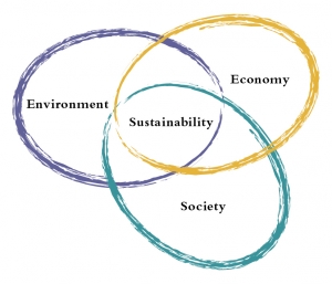 SustainabilityRings