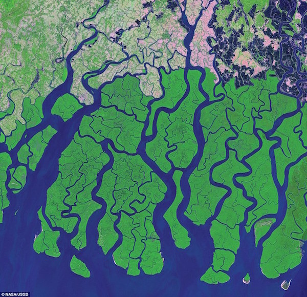 Sundarbans NASA image - March 14