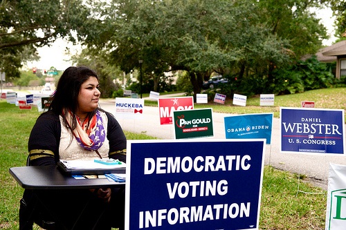 Democraticc Voting Information