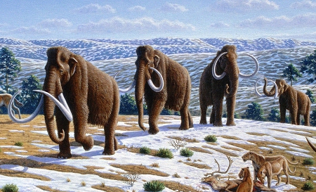 Mammoths By Mauricio Antón [CC-BY-2.5 (http://creativecommons.org/licenses/by/2.5)], via Wikimedia Commons