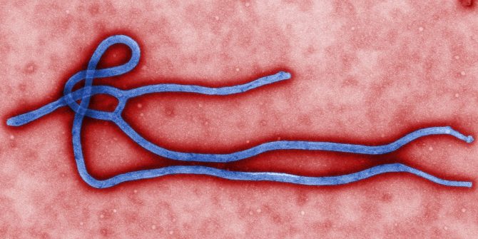 Ebola virus Credit: CDC  (Flickr, CC-BY-2.0)